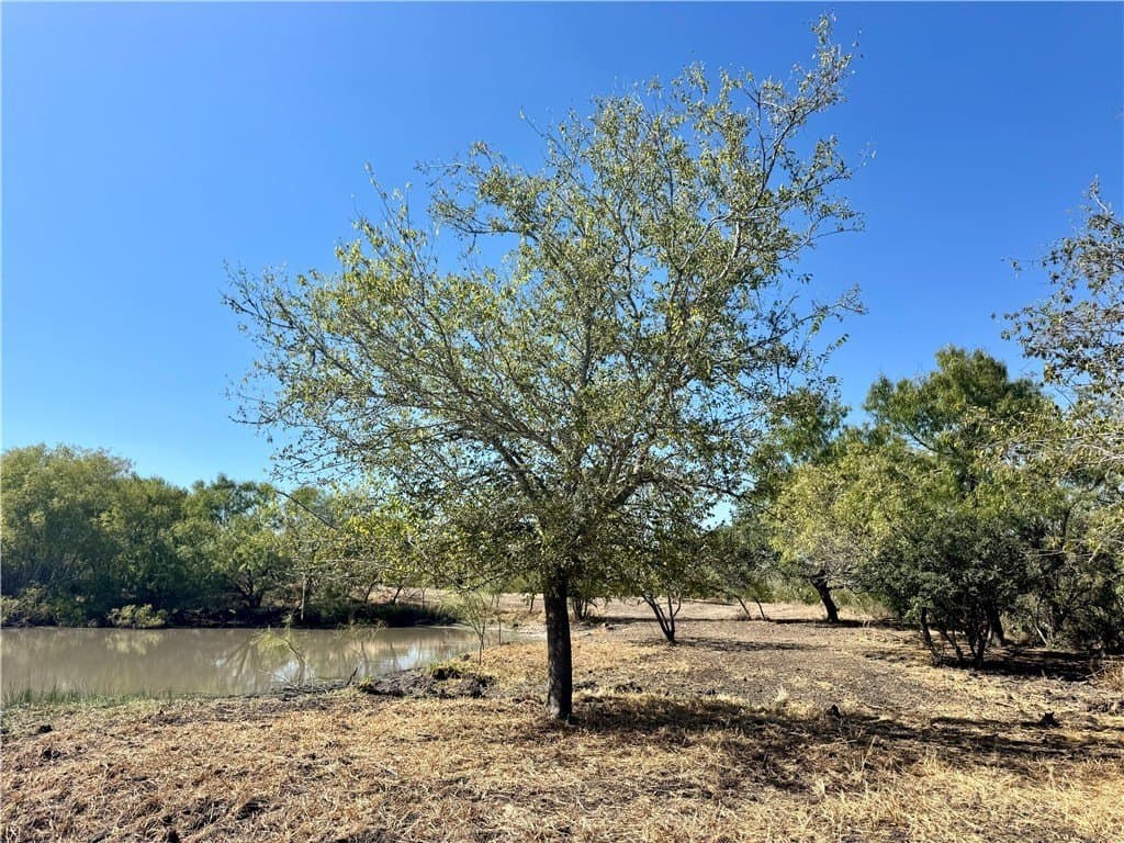 20 acres in Wilson County - photo 30