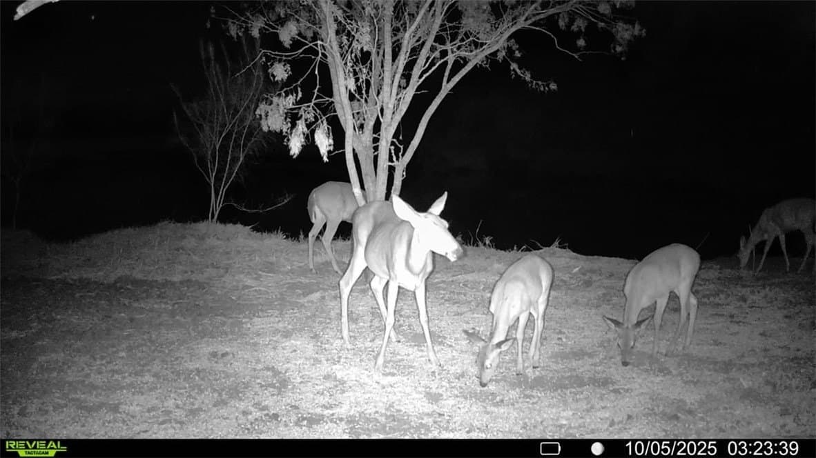 20 acres in Wilson County - photo 6