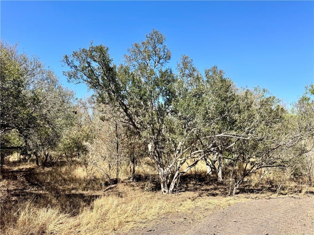 20 acres in Wilson County - photo 12