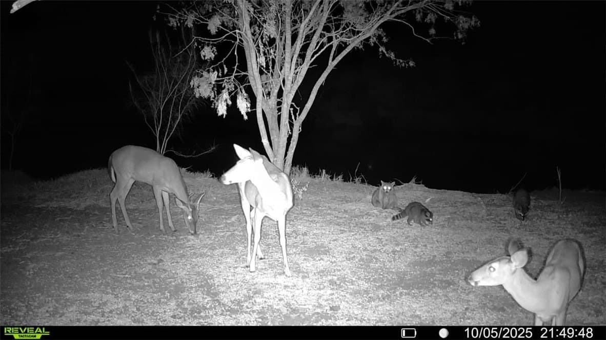 20 acres in Wilson County - photo 11