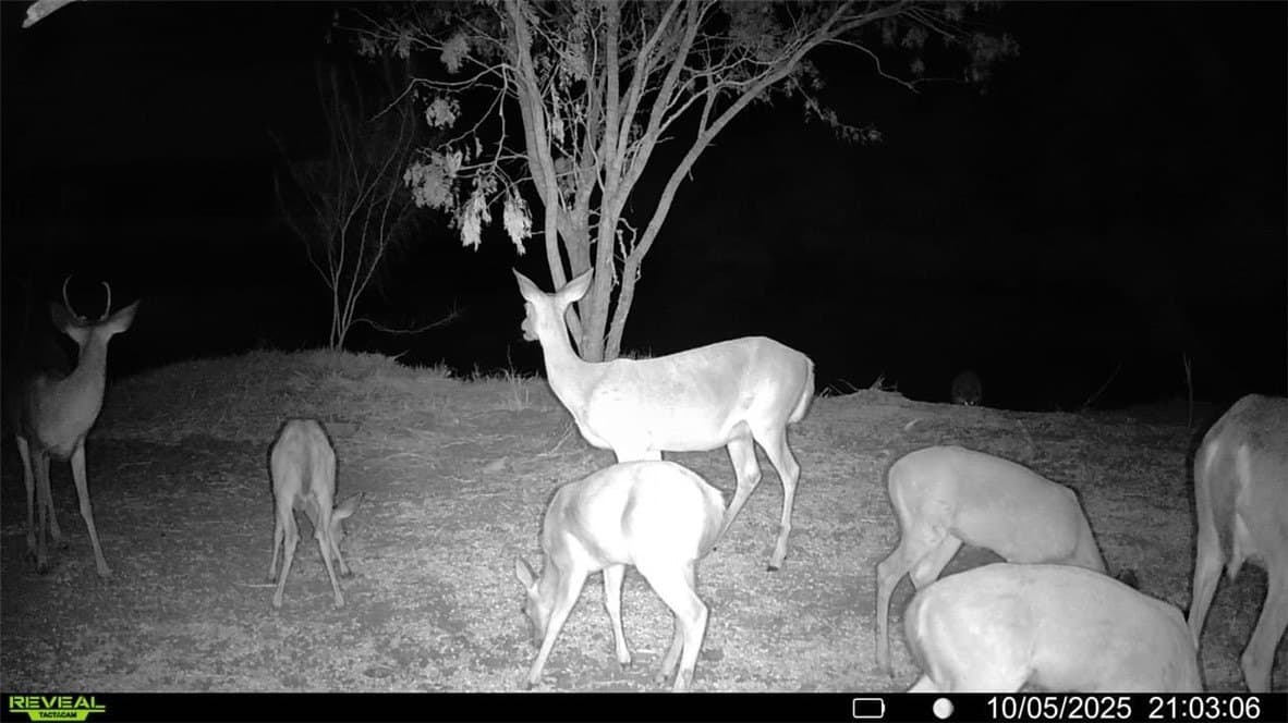 20 acres in Wilson County - photo 19