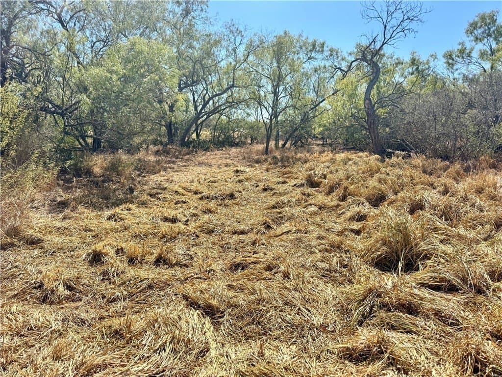 20 acres in Wilson County - photo 34