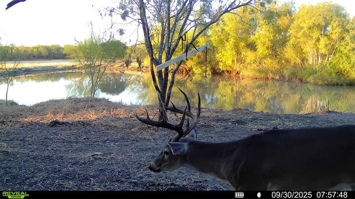 20 acres in Wilson County - photo 29