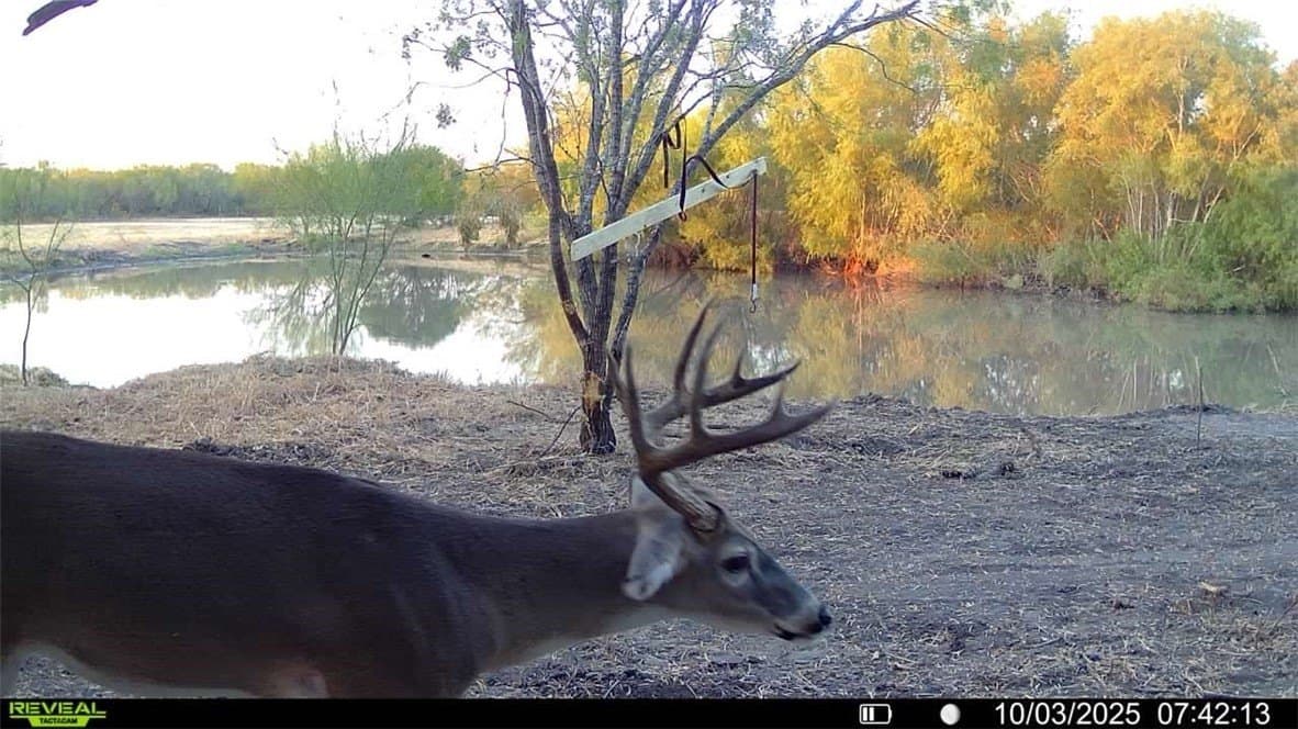 20 acres in Wilson County - photo 4