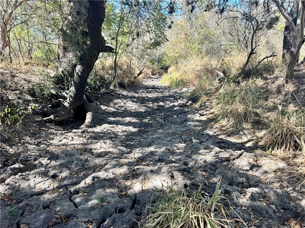 20 acres in Wilson County - photo 22
