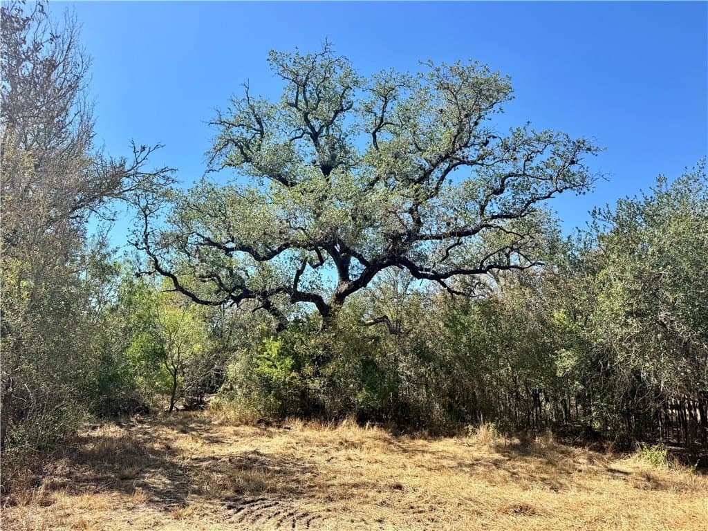 20 acres in Wilson County - photo 37