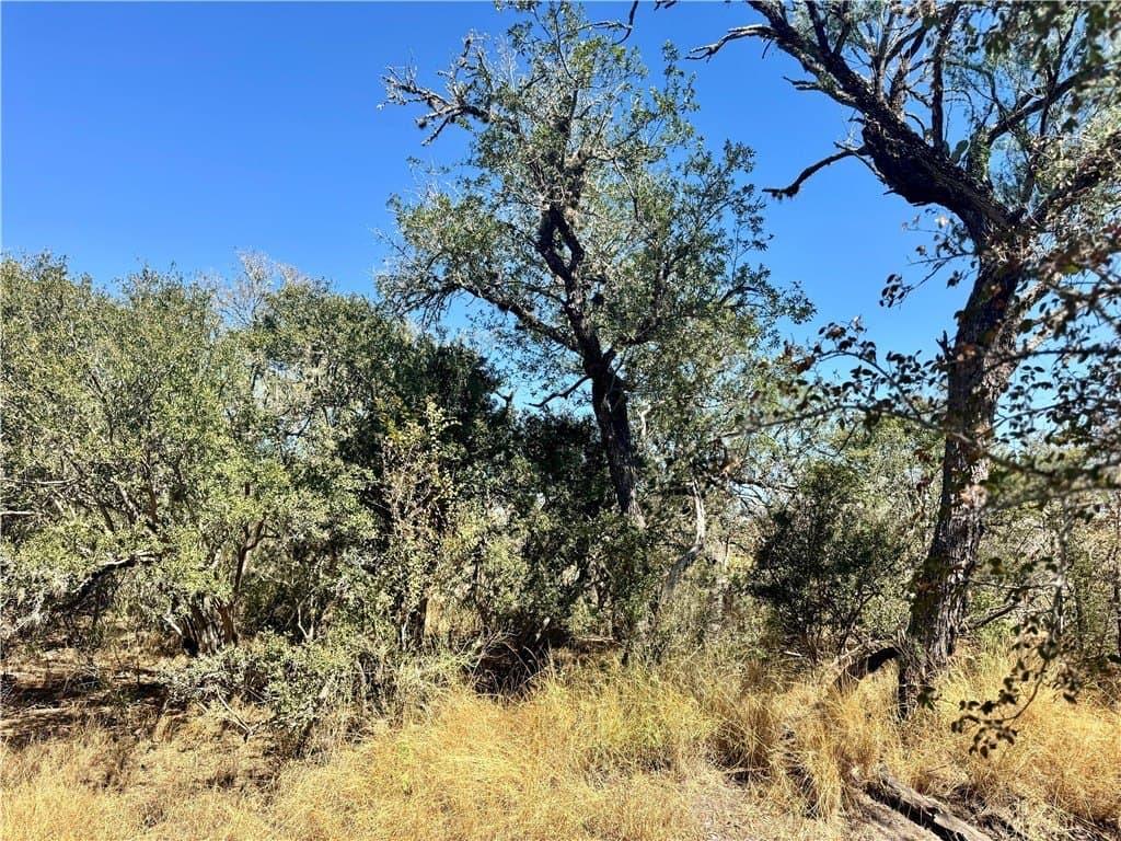 20 acres in Wilson County - photo 18