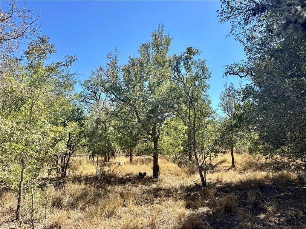 20 acres in Wilson County - photo 39