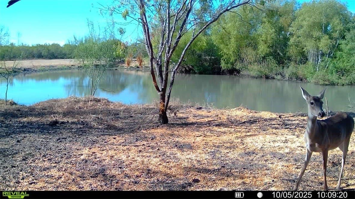 20 acres in Wilson County - photo 31
