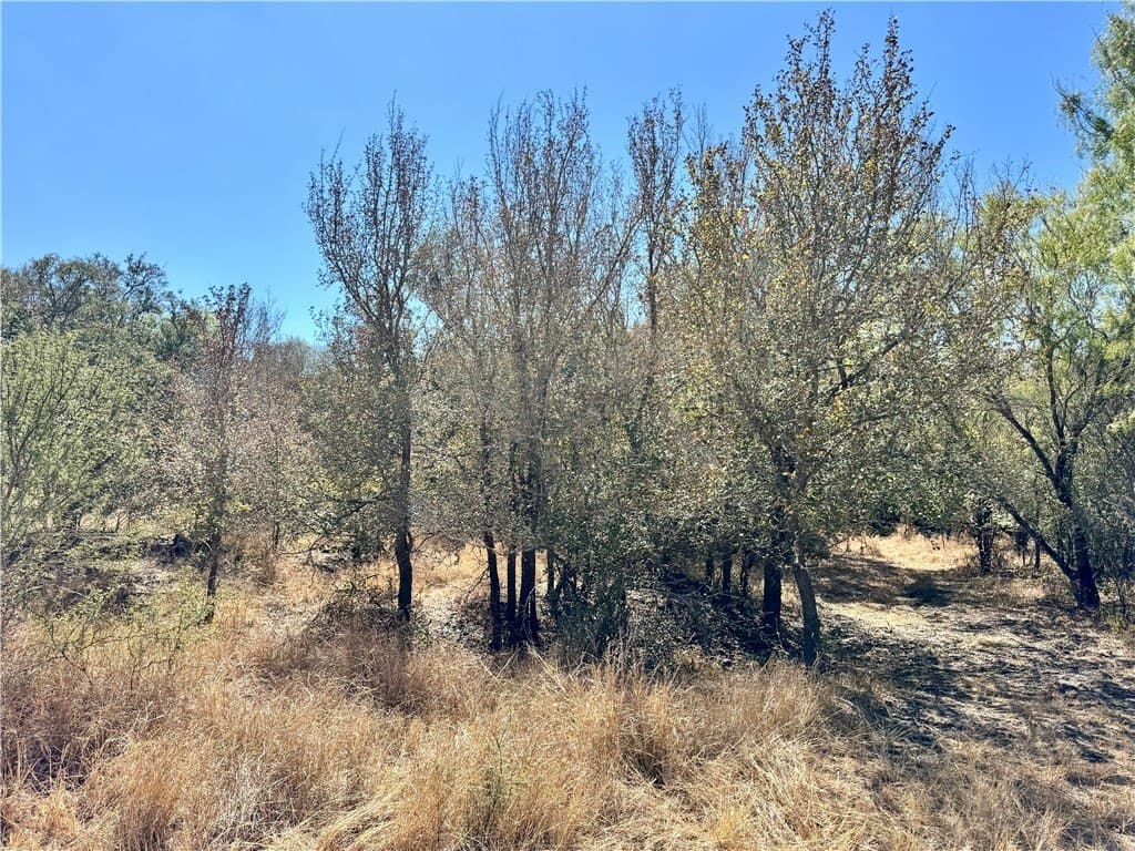 20 acres in Wilson County - photo 9