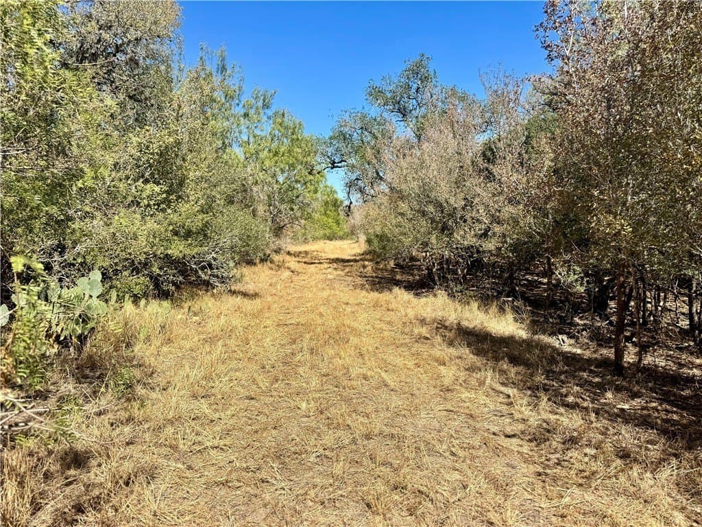20 acres in Wilson County - photo 38