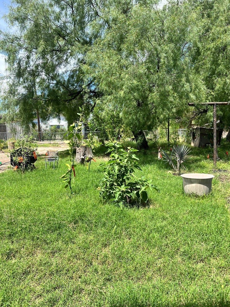 7,150 acres in Maverick County - photo 16