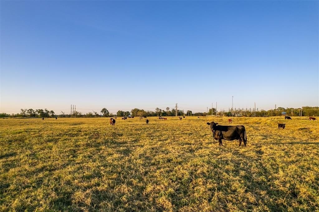 107.7 acres in Wood County - photo 23