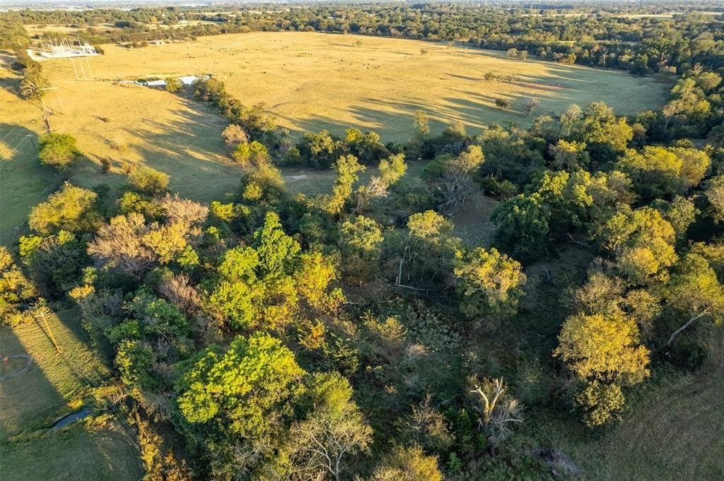 107.7 acres in Wood County - photo 30