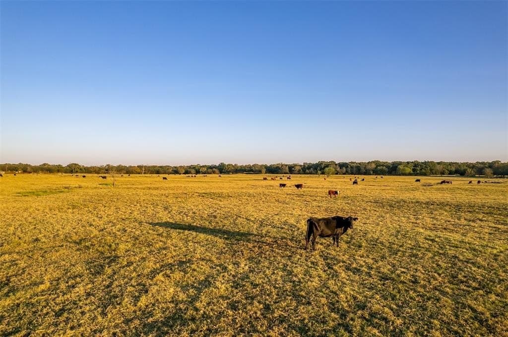 107.7 acres in Wood County - photo 18