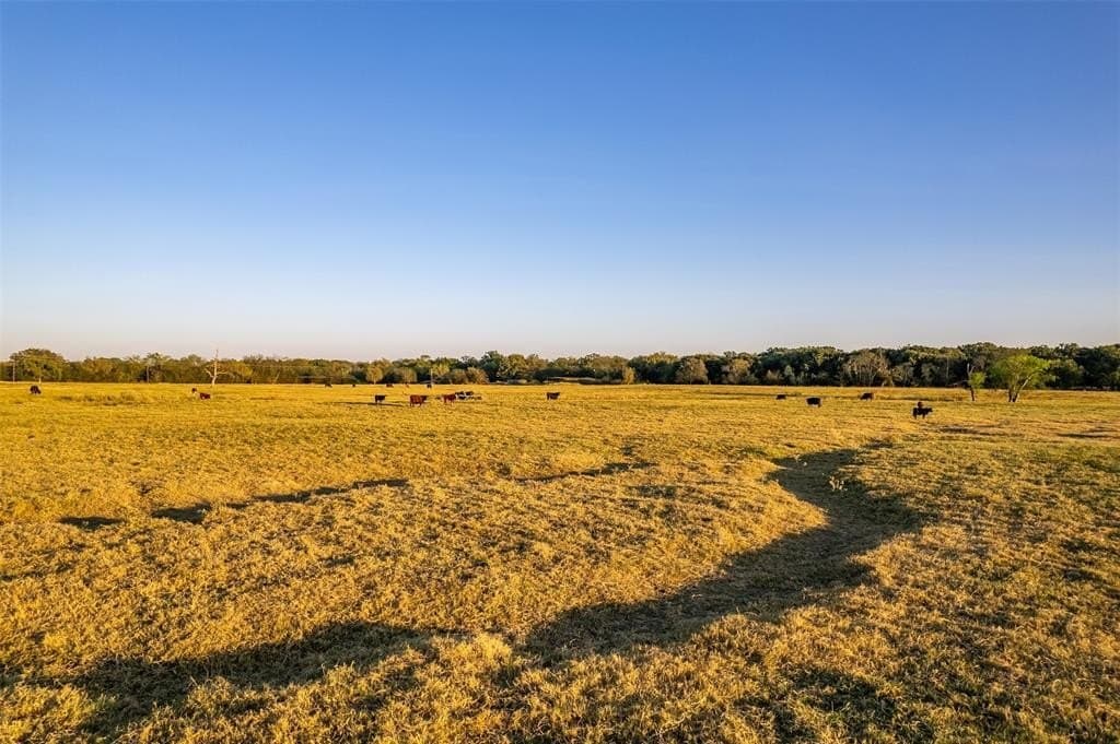 107.7 acres in Wood County - photo 21