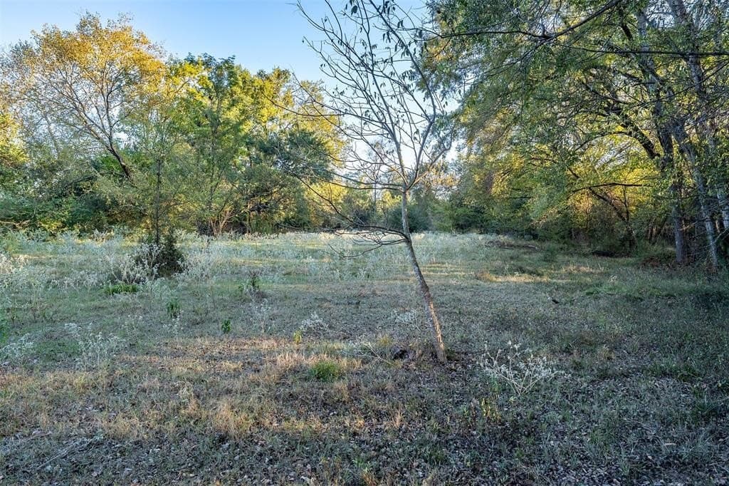 107.7 acres in Wood County - photo 5