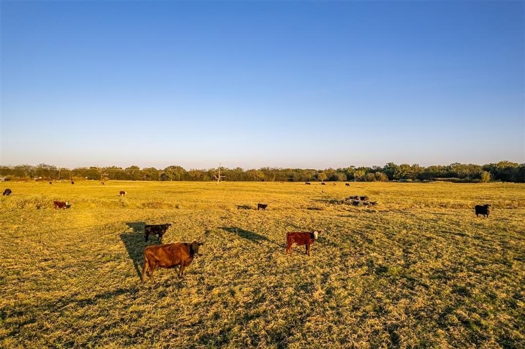 107.7 acres in Wood County - photo 22