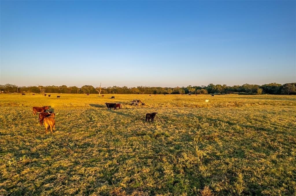 107.7 acres in Wood County - photo 10
