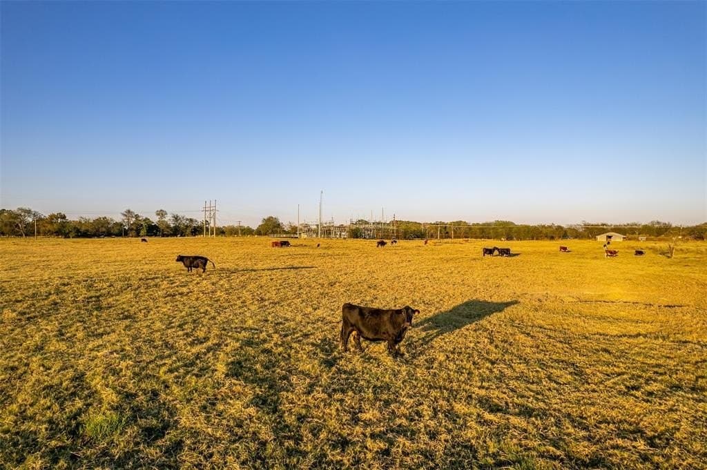 107.7 acres in Wood County - photo 20