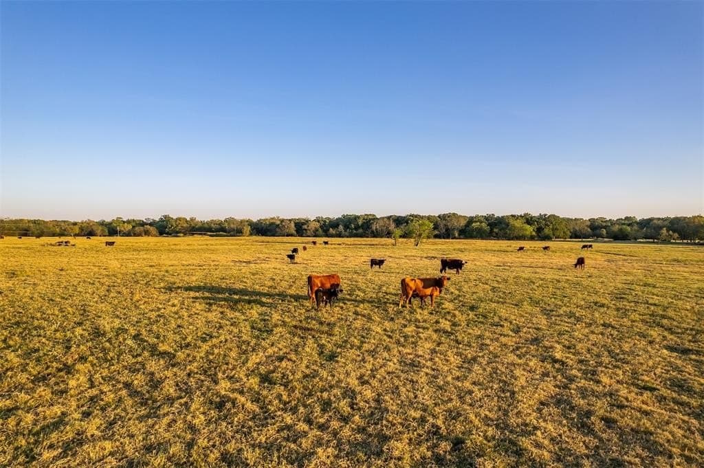 107.7 acres in Wood County - photo 19