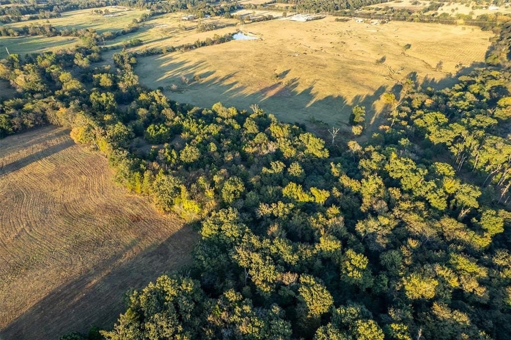 107.7 acres in Wood County - photo 29
