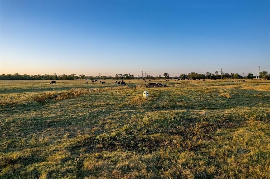 107.7 acres in Wood County - photo 9