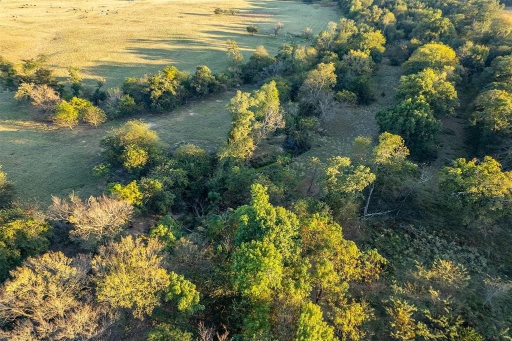 107.7 acres in Wood County - photo 31
