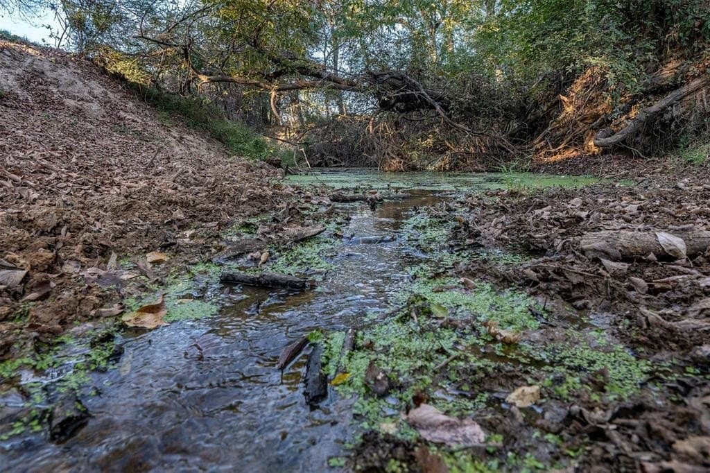 107.7 acres in Wood County - photo 6