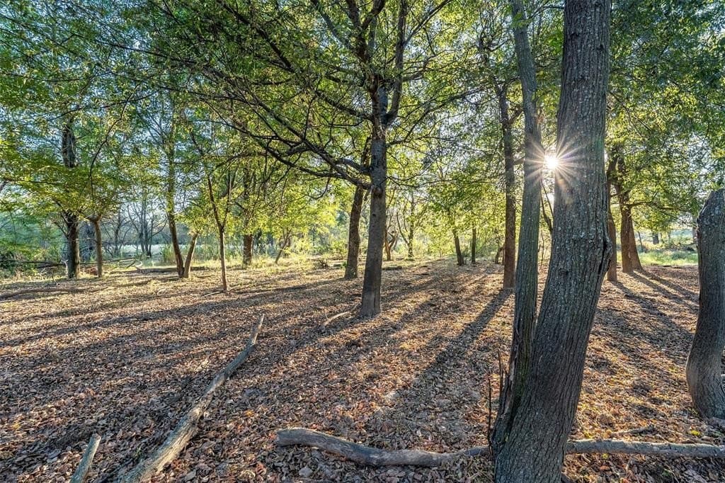 107.7 acres in Wood County - photo 2