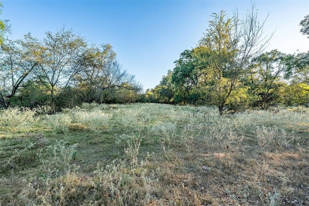 107.7 acres in Wood County - photo 3