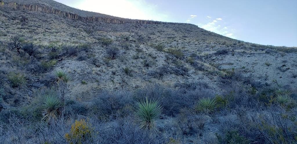 20 acres in Brewster County - photo 16