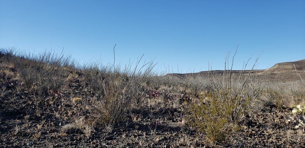 20 acres in Brewster County - photo 42