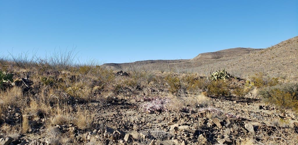 20 acres in Brewster County - photo 52