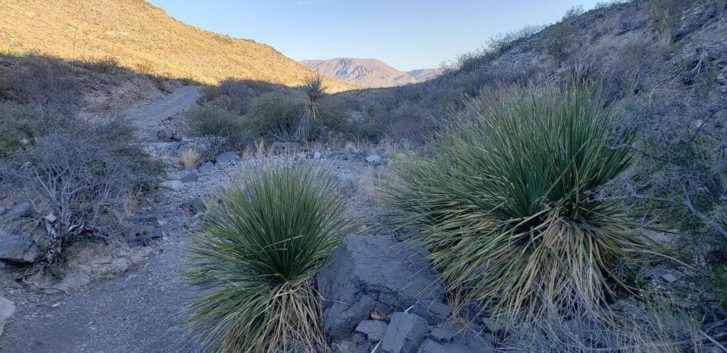 20 acres in Brewster County - photo 5