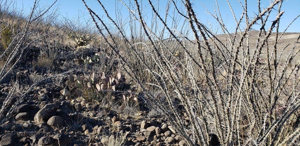 20 acres in Brewster County - photo 43