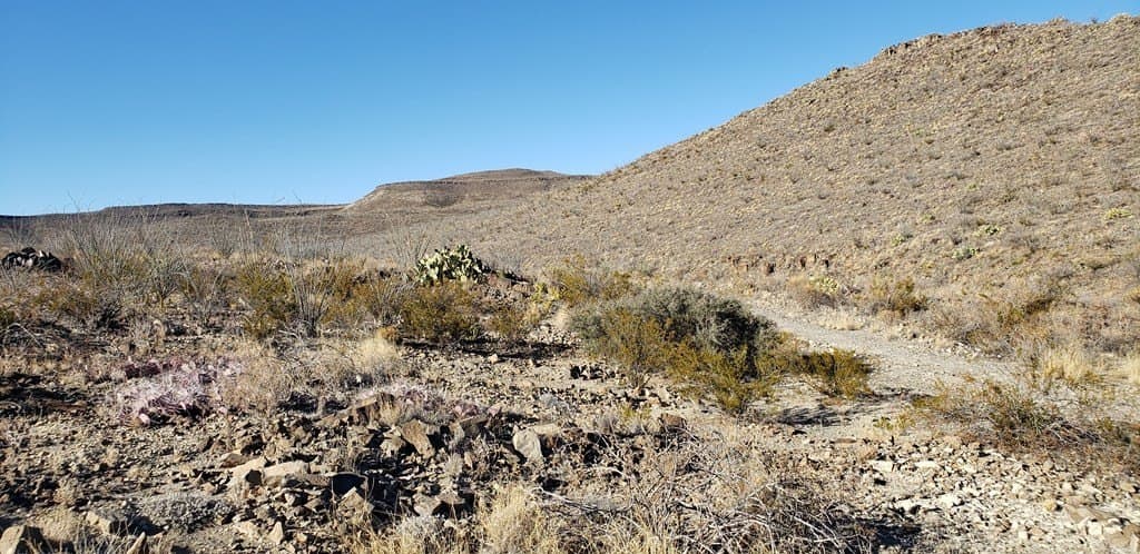 20 acres in Brewster County - photo 51