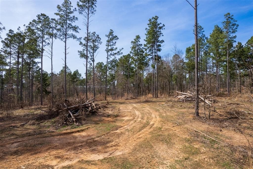 49.01 acres in Franklin (TX) County - photo 5
