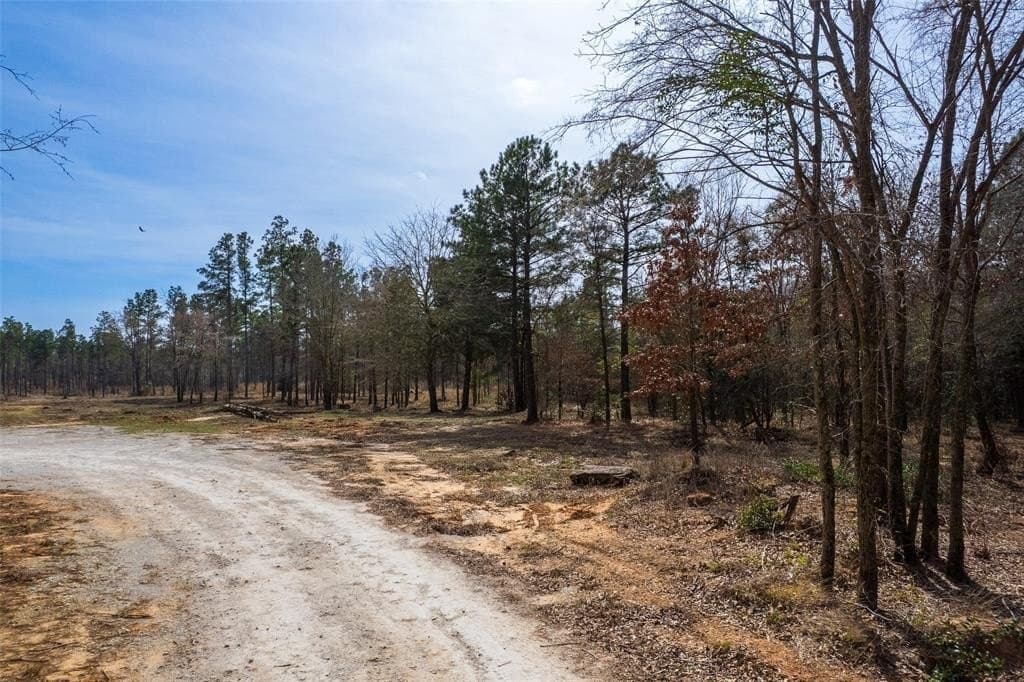 49.01 acres in Franklin (TX) County - photo 10