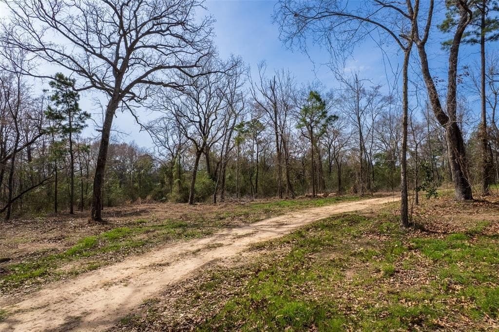 49.01 acres in Franklin (TX) County - photo 12