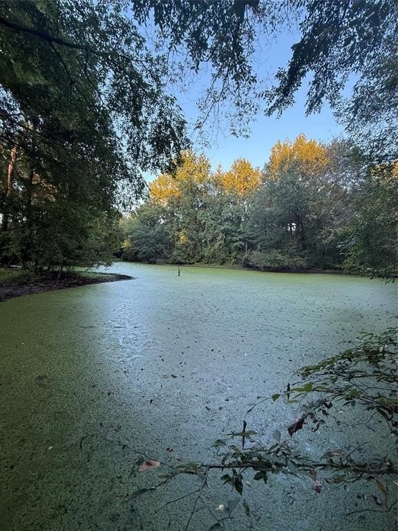 49.01 acres in Franklin (TX) County - photo 20