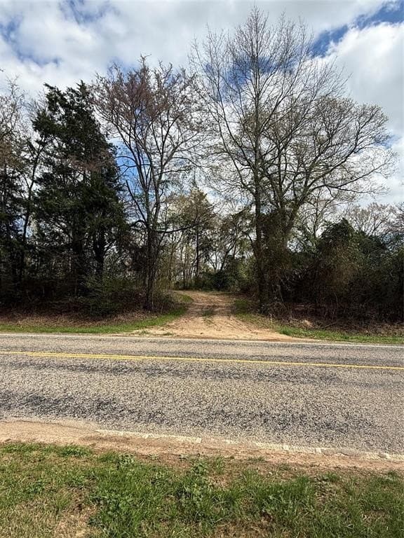 49.01 acres in Franklin (TX) County - photo 23