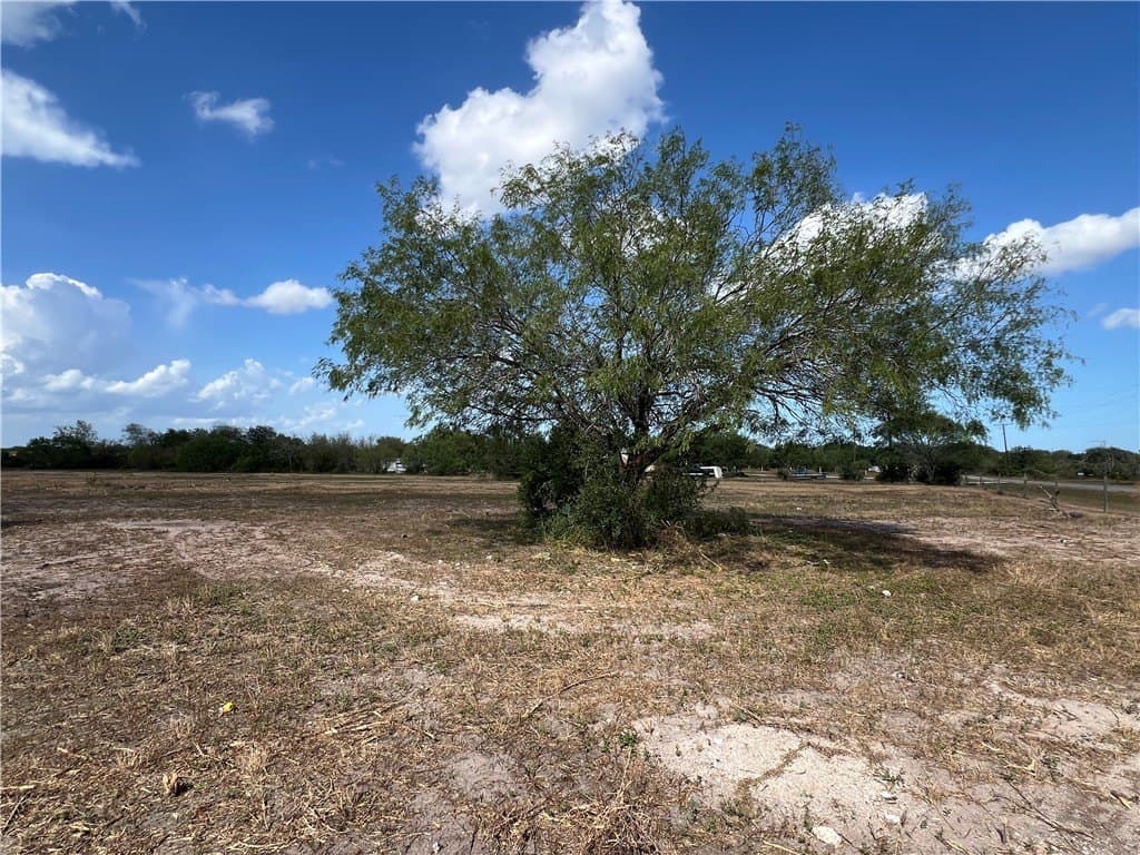 2.98 acres in Jim Wells County - photo 4