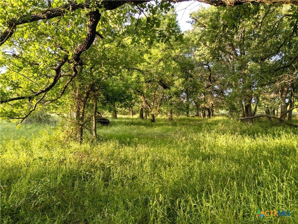 28 acres in Texas County - photo 21