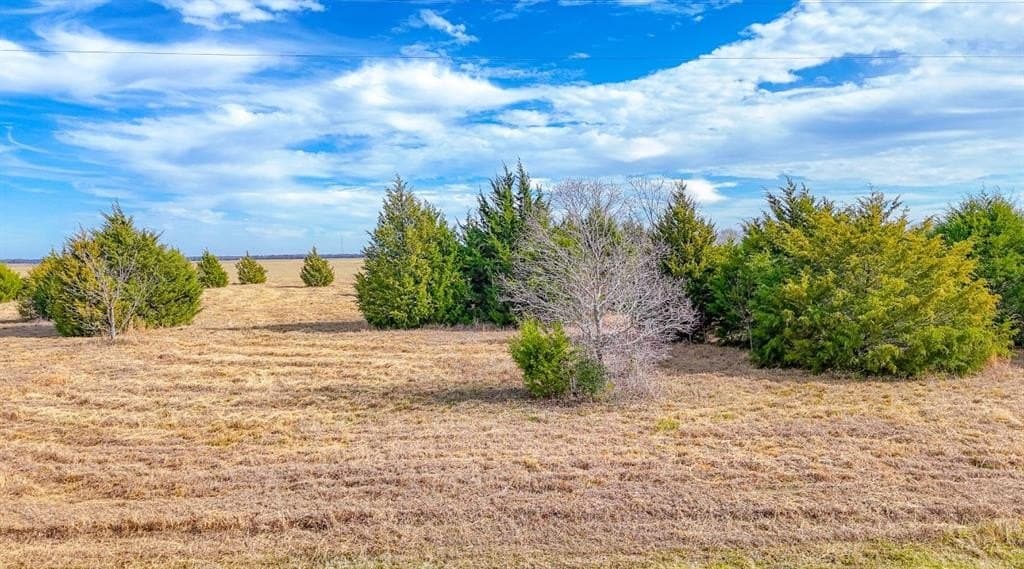 2.01 acres in Navarro County - photo 6