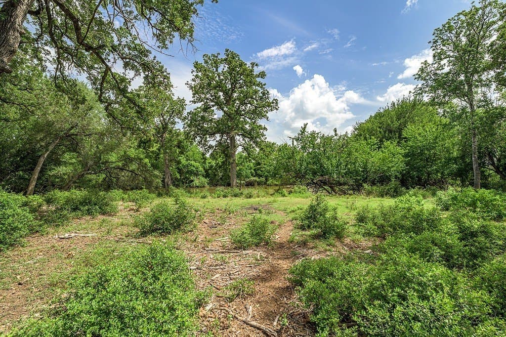 7 acres in Fayette County - photo 7