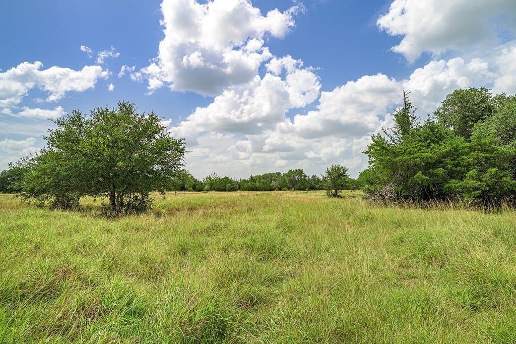 7 acres in Fayette County - photo 10