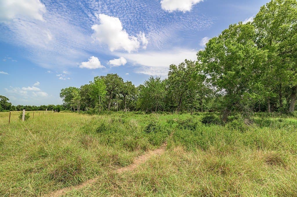 7 acres in Fayette County - photo 9