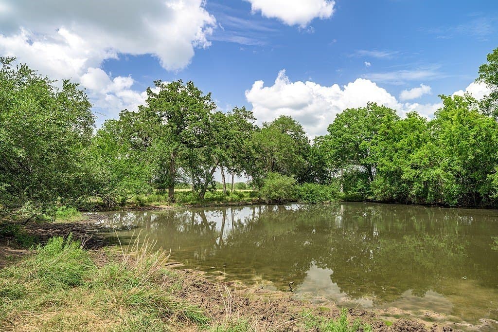 7 acres in Fayette County - photo 12