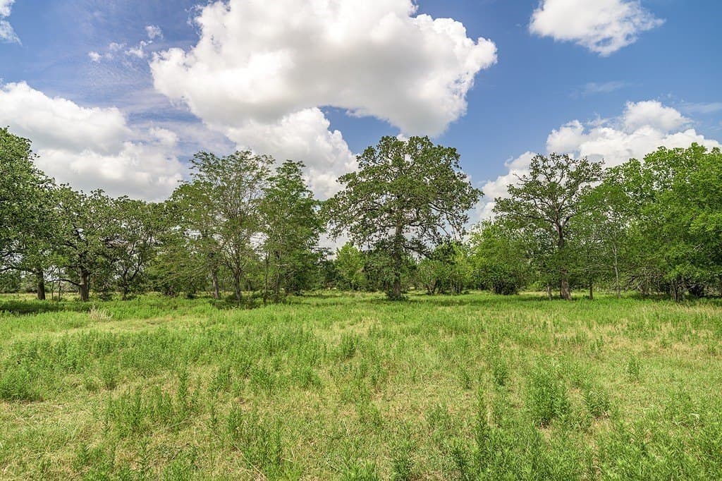 7 acres in Fayette County - photo 13
